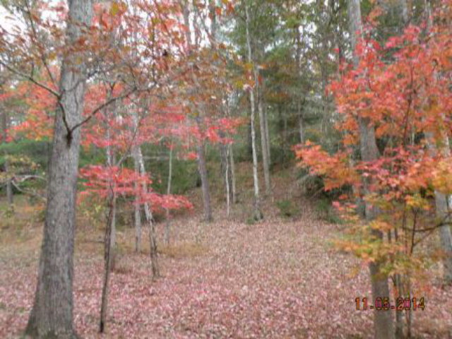 Cabin Run Lane Murphy Nc 28906 Us Murphy Home For Sale Re Max