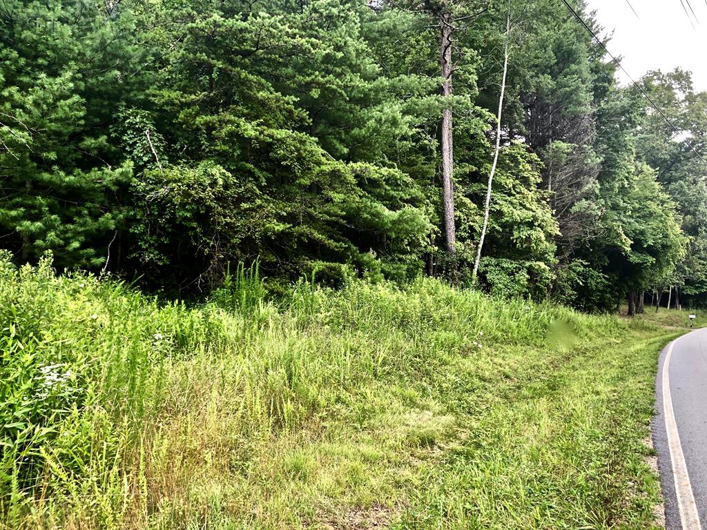 VERY gentle laying land just off state maintained Hedden Road. 10 minutes from downtown Murphy and 10 minutes to John C. Campbell Folk School. Don't worry about the expense of living in the mountain and getting a winding road up the top of a mountain. This property has a very gentle approach off the state pavement. Power is ran along Hedden Road so no need to worry about a huge expense for power either! Minimal restrictions; no mobile homes or junk cars, appliances, or trash in the yard.