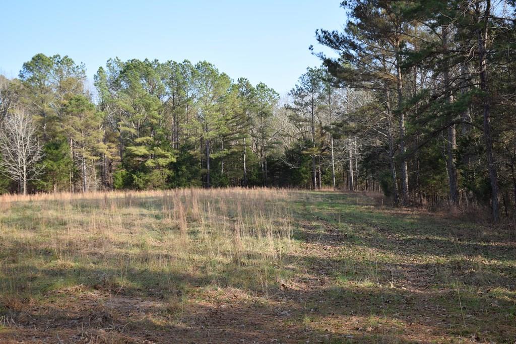 Serene partially wooded 3.63 acre private lot offering the perfect setting for your dream home. This lot will be part of a new country estate subdivision located in northern Lafayette County. Enjoy the life of the historic Oxford square, the events at the University of Mississippi and the wonderful private and public schools of Lafayette County, then retreat to your personal country estate just outside of town. (Taxes to be assessed and individual parcel numbers to be assigned once the subdivision plat has been recorded.) Multiple lots & floor plans available. https://www.lochlanoxford.com