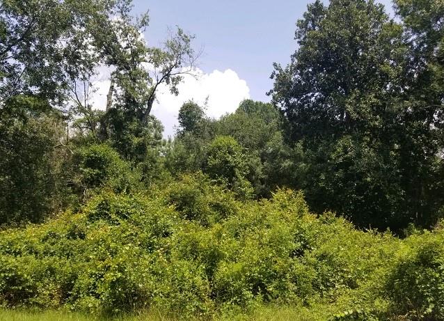 Lot Bended Oak Lane, Stockton GA