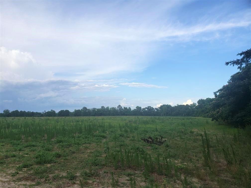 0 Good Hope Rd Tract 3, Naylor GA