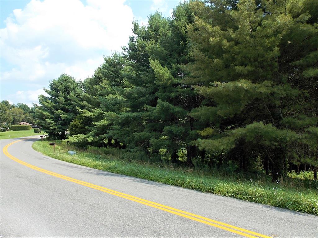 This nice 0.6 +/- acre building lot features nice paved road frontage, county water supply, cleared area at the front, and planted pines in the rear! This would make a nice lot for a walk out basement. Conveniently located close to Interstate 77!