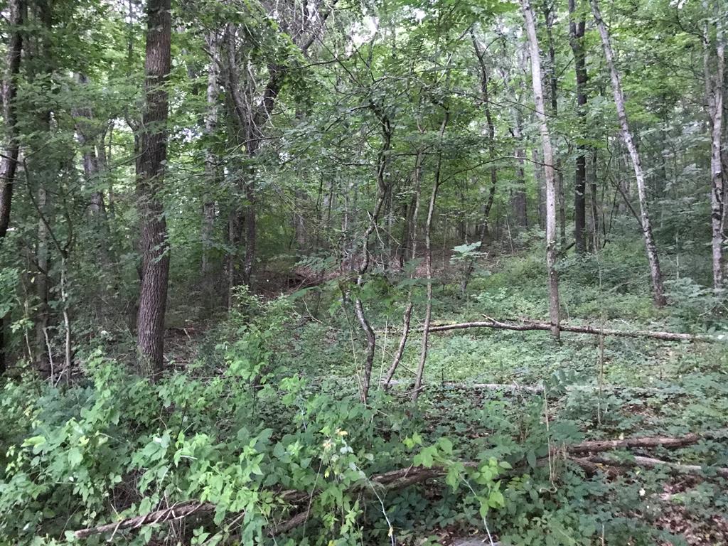 2 wooded lots containing approximately .47 acres +/-. This is not connected to the main rd on Gilland Lane. See GIS for details