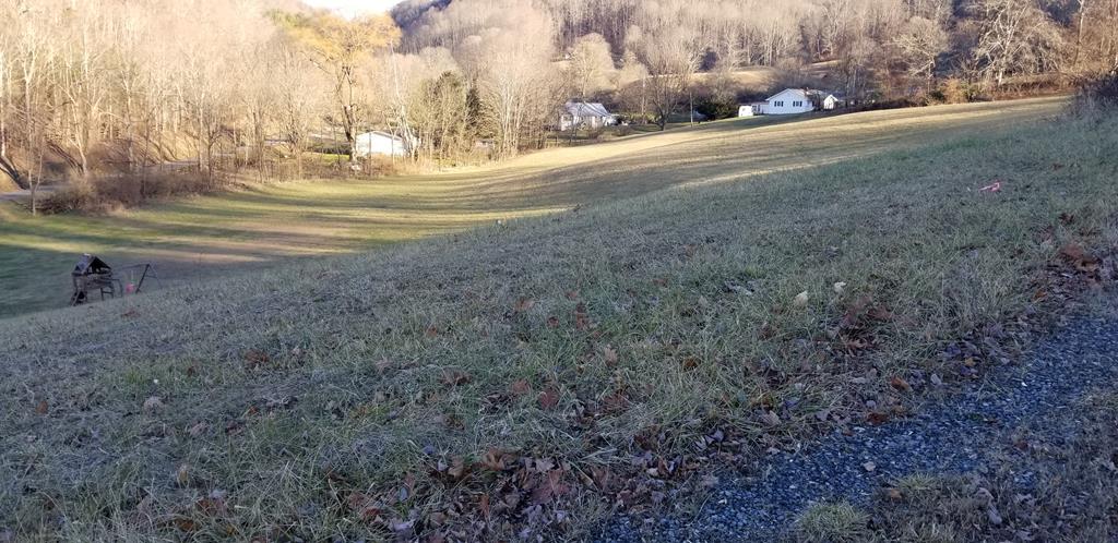 Great building site in a prime location and neighborhood!  Located just outside of the town limits in Marion, VA but convenient to I81, schools,new medical offices and hospital!  The large 1.30 acre lot has recent survey, county water and is ready to build on.  Additional 1.09 acre lot adjoins and is also available.  Both lots can be yours for $37,000!  Priced below tax assessed value!