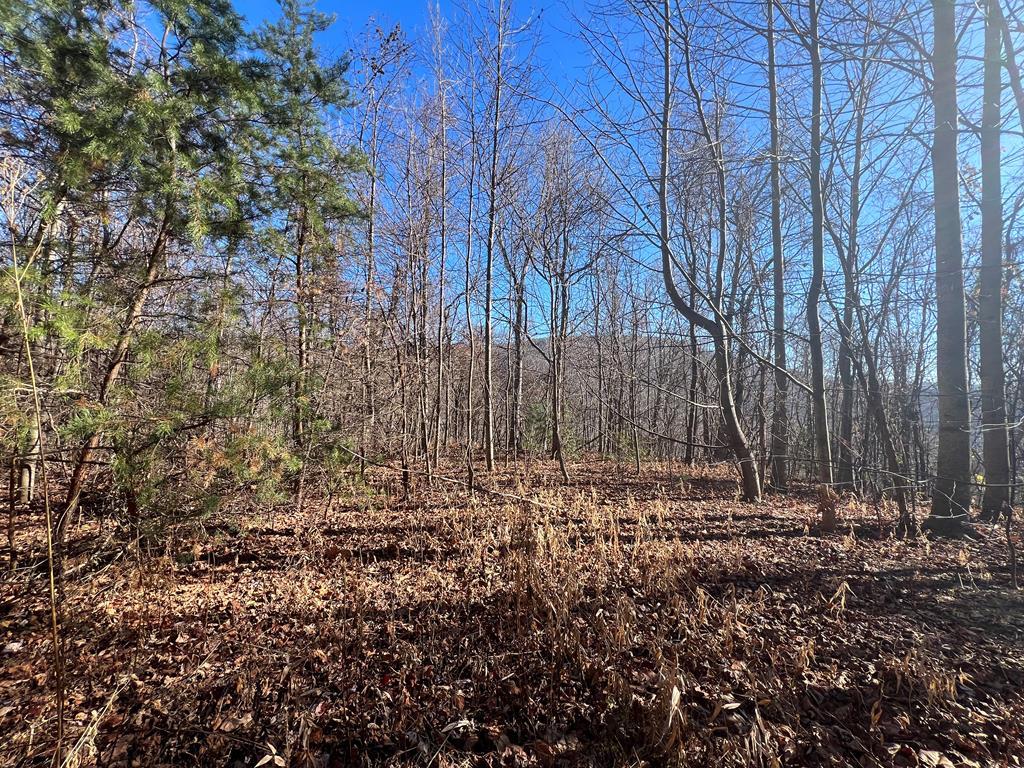 AEP lines on edge of acreage.  Elevations up to 2.500 ft.  Rolling young timber, wildlife.  Build, hunt, hike or camp.  Paul's Creek roars through this valley.  Waiting on additional property information at current time - taxes estimated.