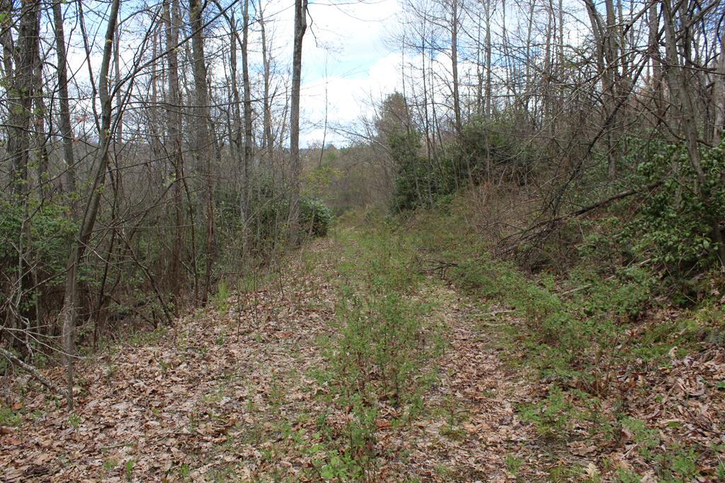 5.47 ac located in Patrick County Va.  (0 Jeb Stuart Highway, Meadows of Dan, VA 24120).  All Wooded. Young Timber. Access from Blue Ridge Passage and Old Quarry Road.  Land is rolling.  Good building site.