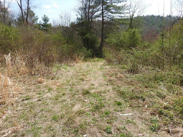 28 acres with views. Perfect land for hunting or to build a cozy cabin. Convenient to the New River and the New River Trail.