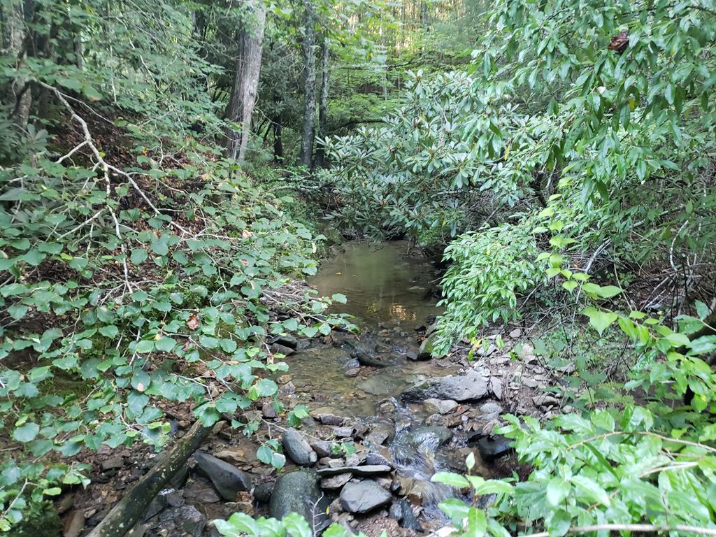 Great hunting tract! 22 private acres with abundant wildlife