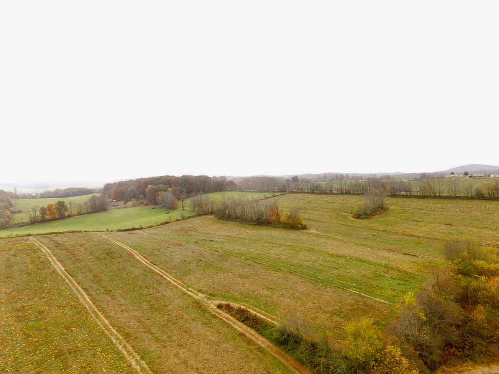 CHECK OUT THIS 25.98 +/= acre tract that is close to downtown Rural Retreat.   This would make a great mini-farm or home site.  The possibilities are endless.  Awesome views.  Give me a call today to see this one.