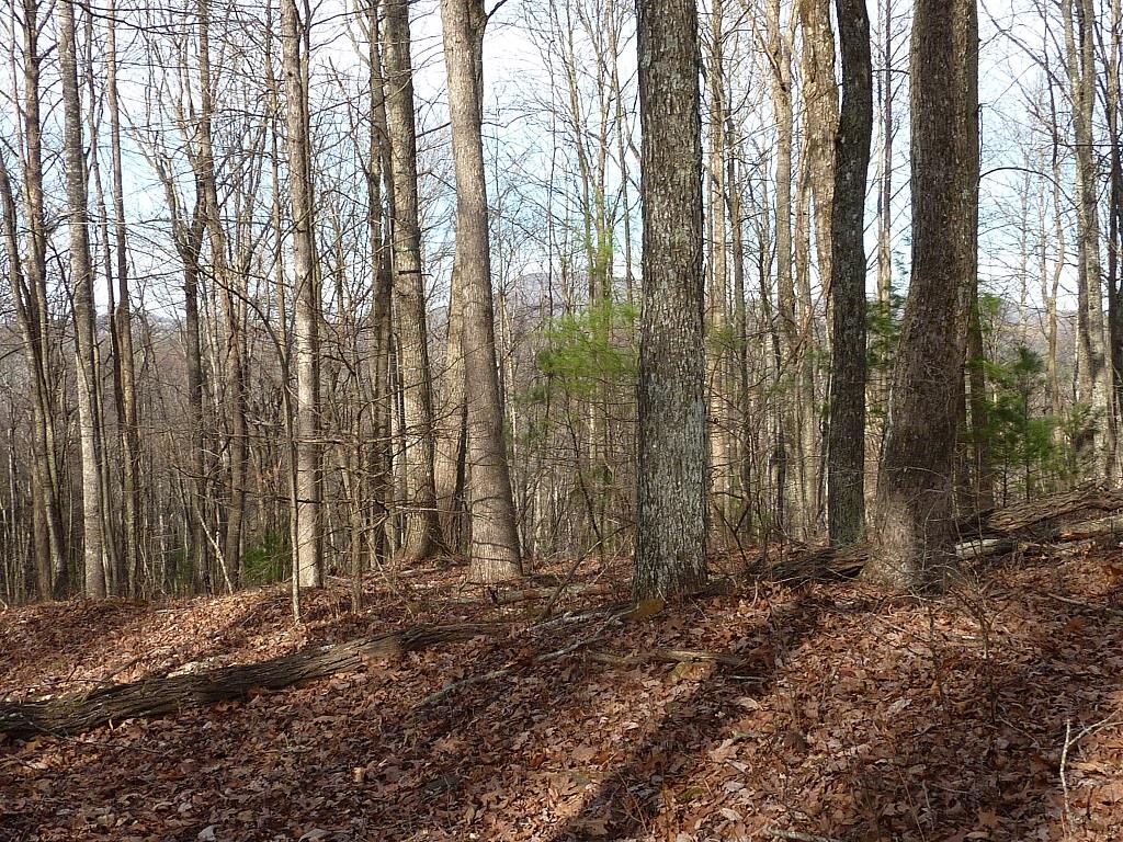 This is a great recreational property that is ideal for hunting, camping or hiding from the world. There is an old home on the property that is very overgrown with it's condition unknown. Close to the Blue Ridge Parkway and Olde Mill Golf Club.