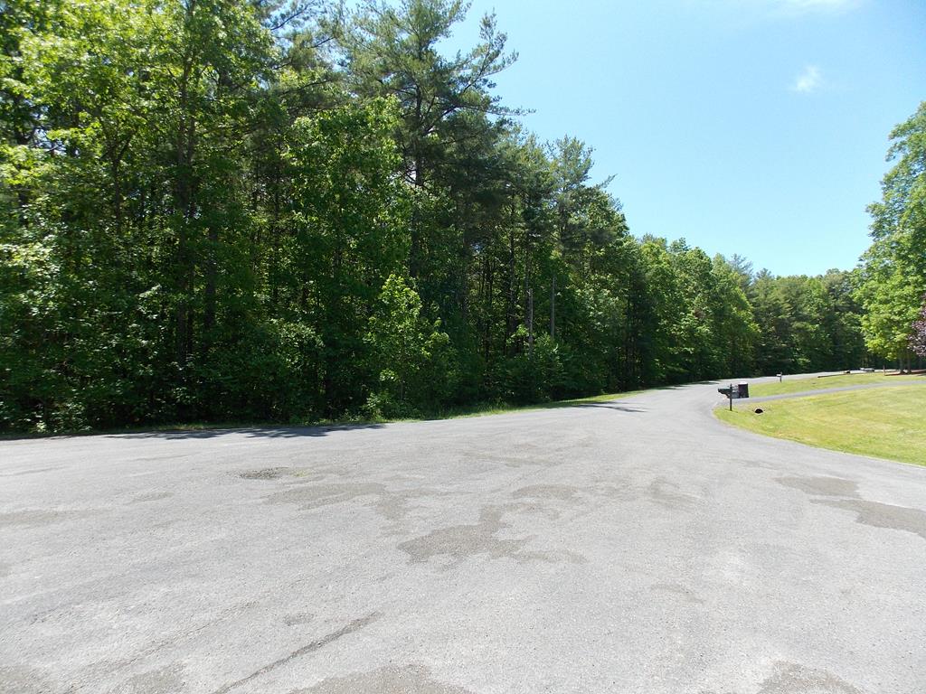 This 1.313 acre lot is located in Country Woods Estates and features paved road frontage, public water, underground power, and it's been previously perc test approved! Also, these lots on Wood Lane (several more available) are approved for double wide homes on permanent foundations! Conveniently located just seconds from Lake Ridge Resort and Highway 100!