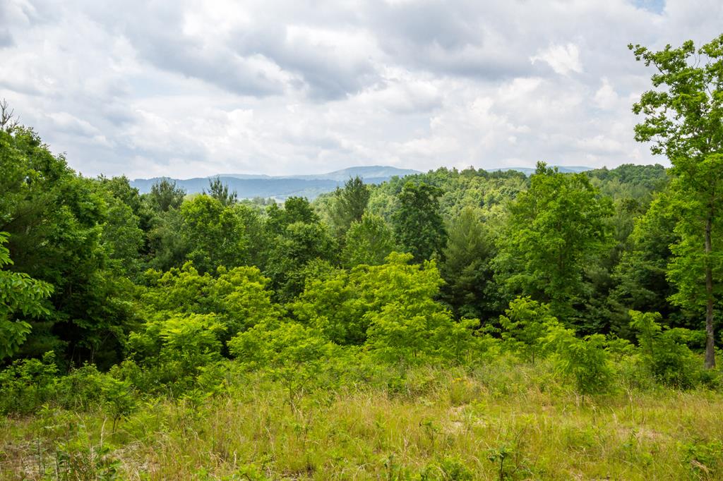Beautiful mountain views of Elk Creek Valley located in Grayson County. This is one of two adjoining tracts. This lot has its own entrance and road leading up to a buildable home site with an outstanding view. This property offers plenty of seclusion and acreage, and is very close to Jefferson National Forest. Very close to hiking trails and horse camps. Lot 5 has been perked for a 3 bedroom septic system. Lot 4 & 5 can be sold individually or together. Call for an appointment today!