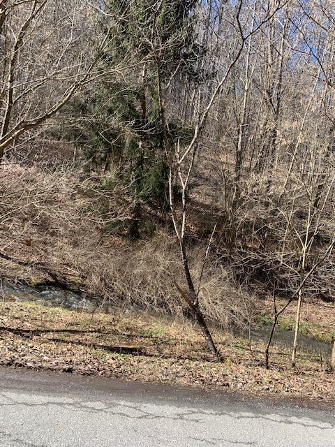 Not quite half acre (.48) wooded lot with creek bordering front of the property.  In the county but in close proximity to interstate and a few miles to historic Abingdon, VA, shopping, medical facilities, and schools.