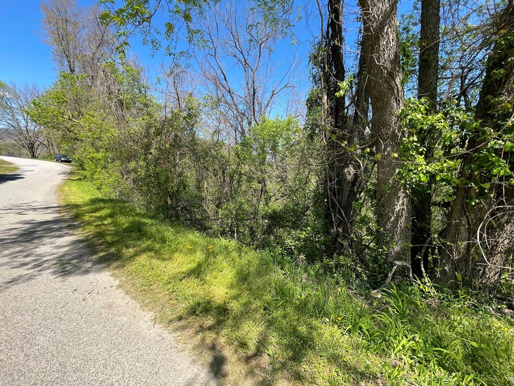 Building lot for sale in the Town of Narrows, VA. Property for sale is .377 acres of wooded land with public utilities. Located in peaceful Giles County, with close proximity to the New River and all the recreational activities SWVA has to offer!