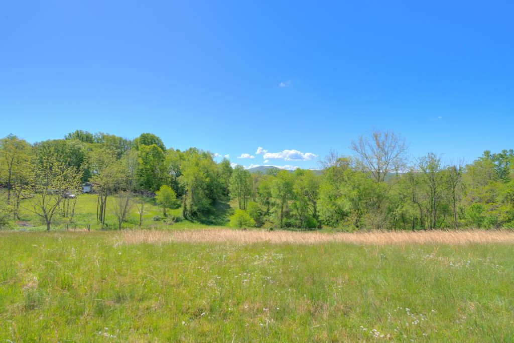 What a view! Standing at the top of this property, you have a beautiful view! Gentle rolling land with a great building site. Doublewide homes are permitted.