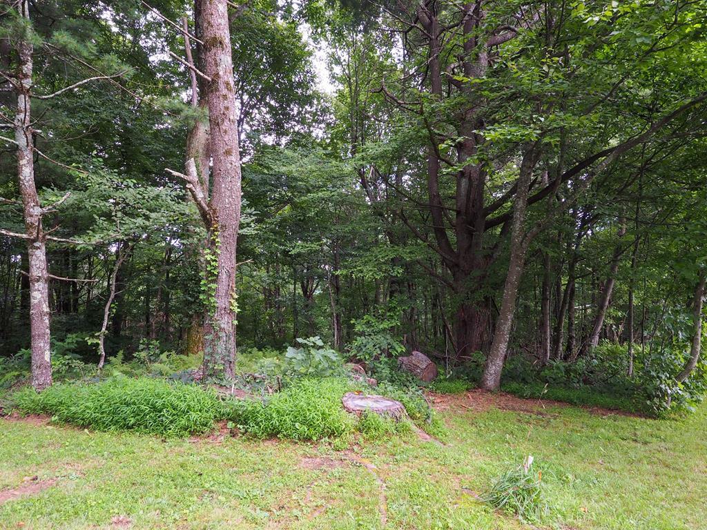 Located in the Wooded Acres Subdivision not far from the Blue Ridge Parkway! This 1.42+/- acre lot would make a great setting  with possible long-range mountain views for your full time home or a nice place to park a camper!  Come relax and enjoy the Cool Mountain Air with No Restrictions!