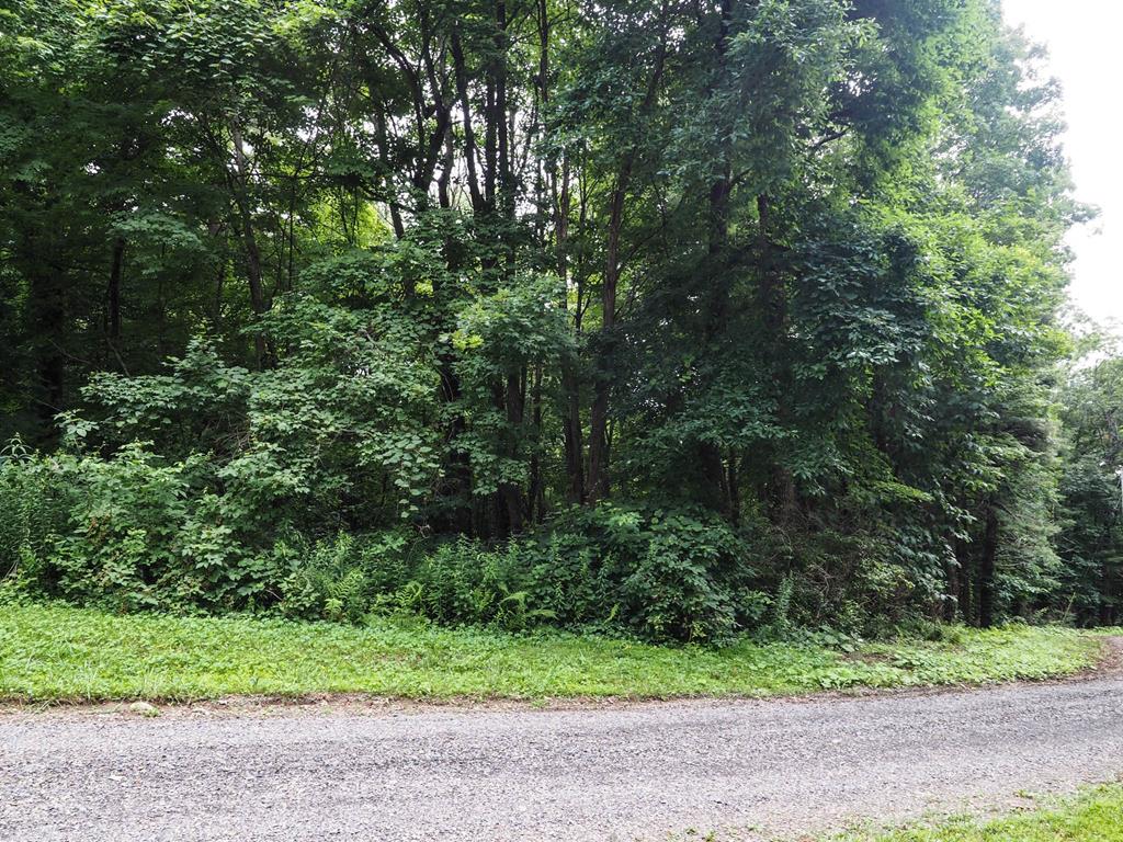 Located in the Wooded Acres Subdivision not far from the Blue Ridge Parkway! This 0.31+/- acre lot would make a great setting  with possible long-range mountain views for your full time home or a nice place to park a camper!  Road frontage on two sides of the property. Come relax and enjoy the Cool Mountain Air with No Restrictions!