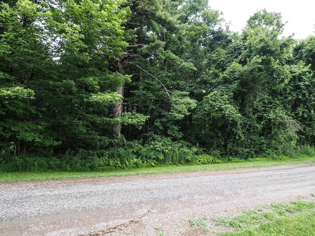 Located in the Wooded Acres Subdivision not far from the Blue Ridge Parkway! This 0.32+/- acre lot would make a great setting  with possible long-range mountain views for your full time home or a nice place to park a camper!  Come relax and enjoy the Cool Mountain Air with No Restrictions!