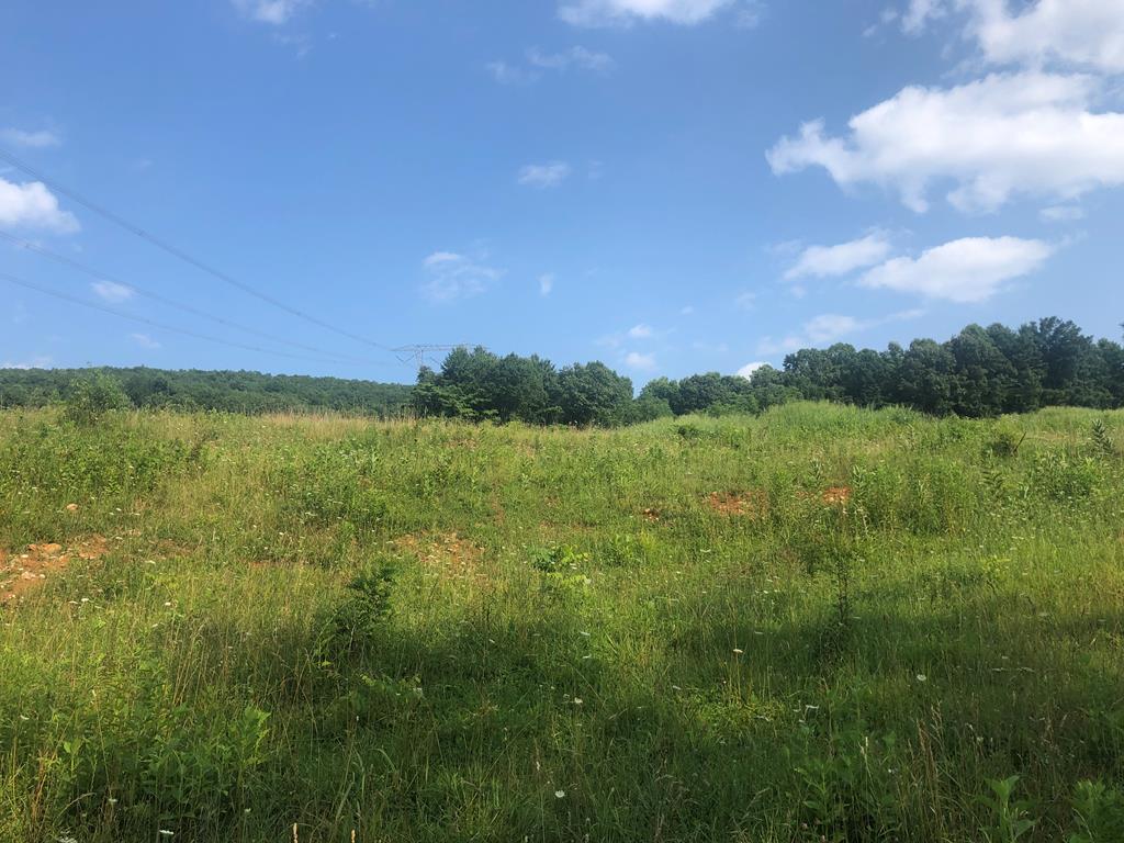 29.4 Acres of unrestricted land in Wythe County.