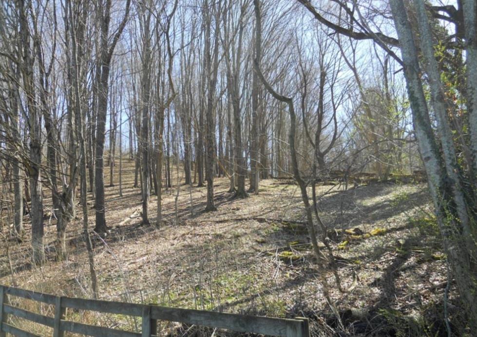 NICE BUILDING SITE IN THE TOWN LIMITS OF TAZEWELL! THIS 3.5 ACRE PROPERTY OFFERS SEVERAL PRIME BUILDING SITES FOR  YOUR DREAM HOME. THERE IS PLENTY OF PRIVACY DEPENDING ON WHERE YOU BUILD. TOWN WATER AND SEWER IS AVAILABLE. IT'S ACCESSED BY A 30 FT RIGHT OF WAY AND WITHIN WALKING DISTANCE OF TAZEWELL'S BEAUTIFUL MAIN STREET.