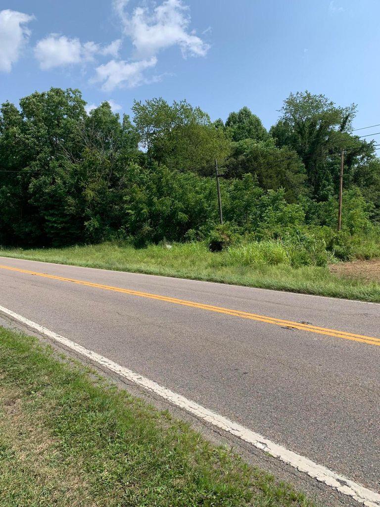 This land is two parcels being sold as one and located in Damascus Virginia. It sits off the main road of Highway 58. It is a relatively level property with several building options. The sellers say at one time there was a house on the smaller piece of property that had water and sewer. Come take a look just minutes from Abingdon VA. The information in this listing has been obtained from a 3rd party and/or tax records and must be verified before assuming accurate. Buyer(s) must verify all information.