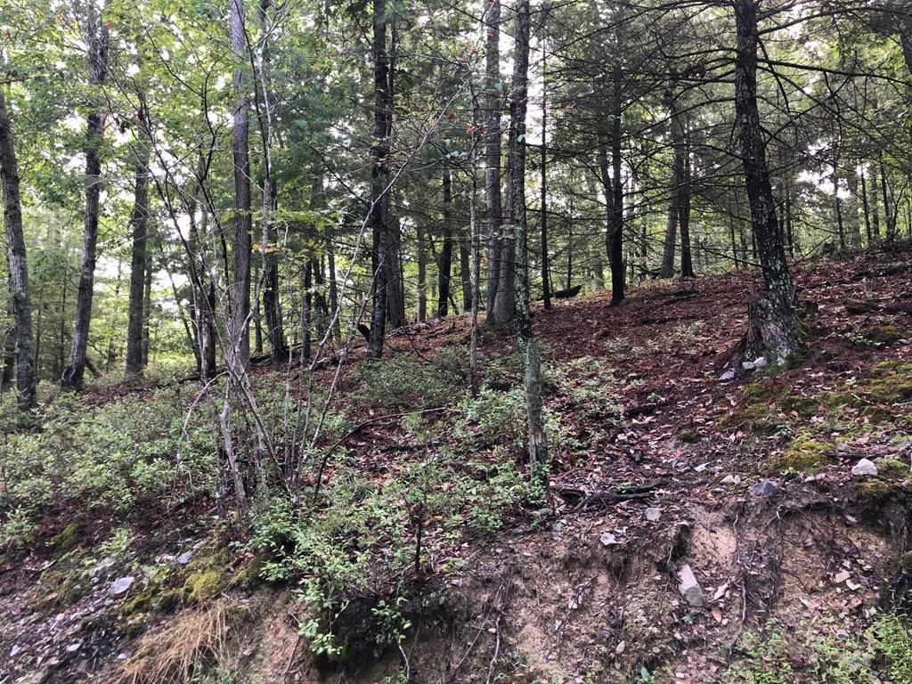 Great 1.577 Acre building lot in Auburn School District.  Priced below current tax assessment.  Convenient location close to Radford University, CNRVMC, I81, Route 11, Route 114, VT and all points in the NRV.  Soil work for Septic, Convenants and Restructions, and Survey in the Documents.