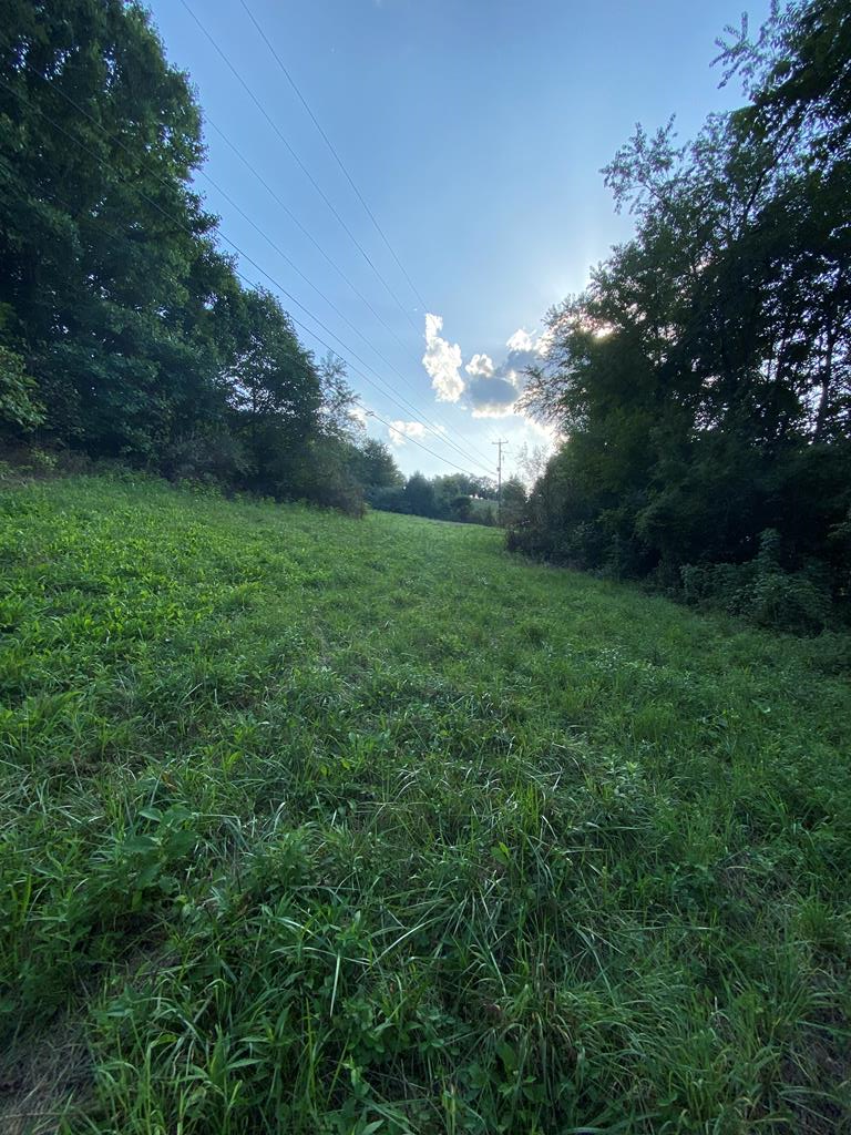 READY to build your DREAM HOME? These 3 lots totaling 2.483 ac. has a well and septic and is conveniently located minutes from the town of Rural Retreat with easy access to I-81..Purchaser to verify internet availability.Call or text listing agent TODAY!!!!!