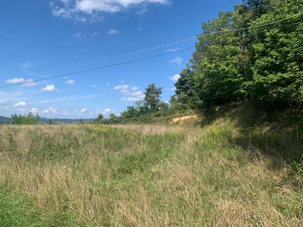 Nice mostly cleared lot perfect for building your dream home. Amazing views of Buckhorn Mountain. Convenient location to town and all amenities . Mostly cleared lot waiting for you to build your dream home!