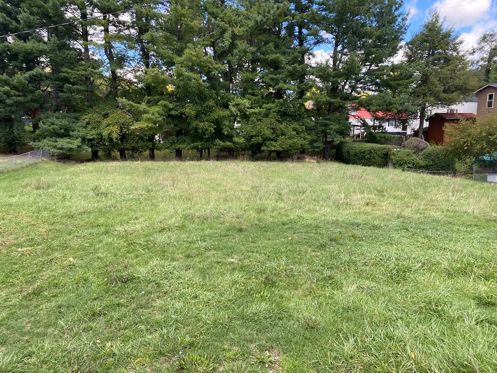 Great building lot located near Interstate 81 and RT 11. Only a few minutes from Emory and Henry College, trails, and hiking. It would also be a great place to build your next investment property. Priced to sell and super location! Call today