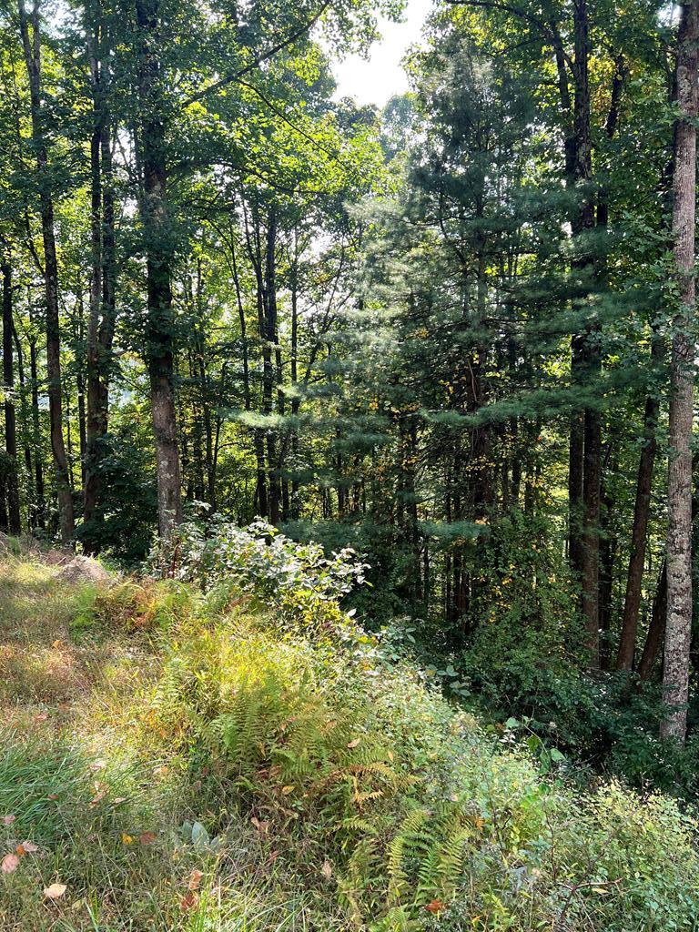 0.4 acre wooded lot in Chalet High.