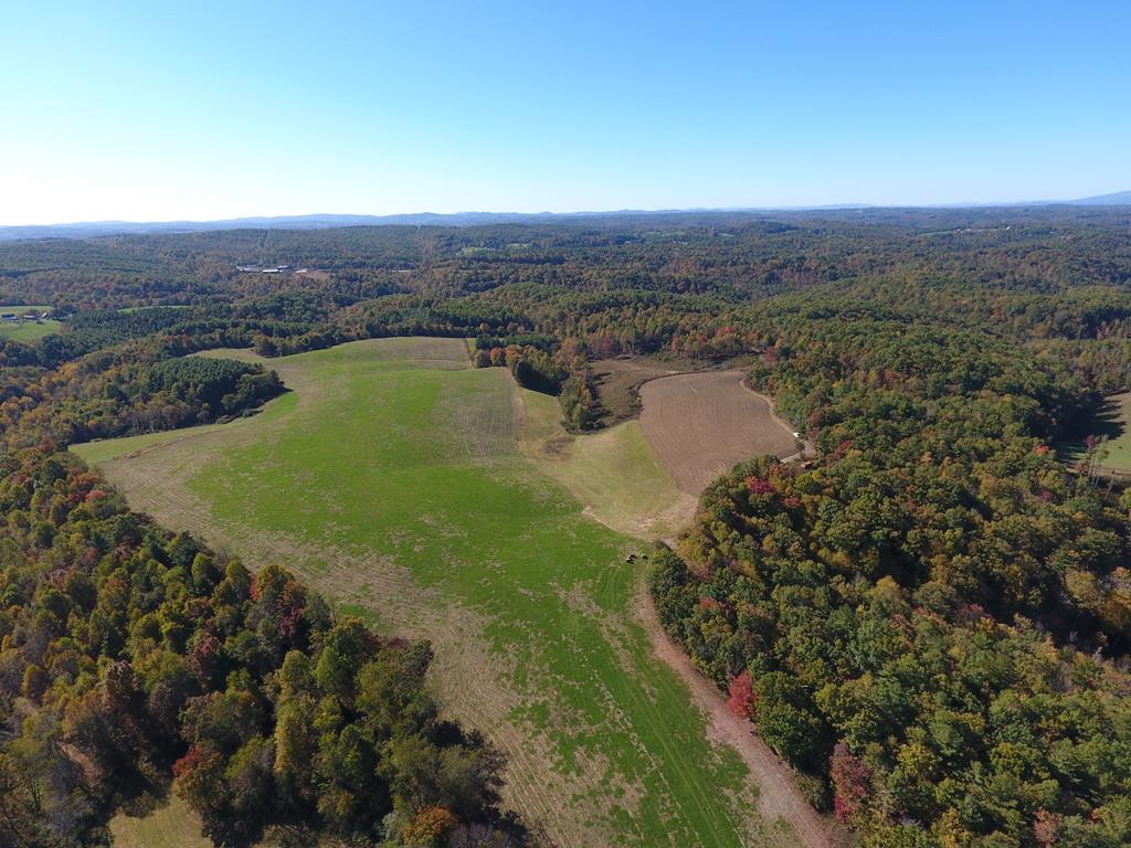 133 +/- acres of a mix of open and wooded land to build your dream home with pond and great countryside views & abundant wildlife! Mix of open and wooded land with streams running though out with a nice pond also! Many nice building sites with long range countryside views! Don't miss out on this beautiful tract located minutes to the Town of Hillsville and Interstate 81!