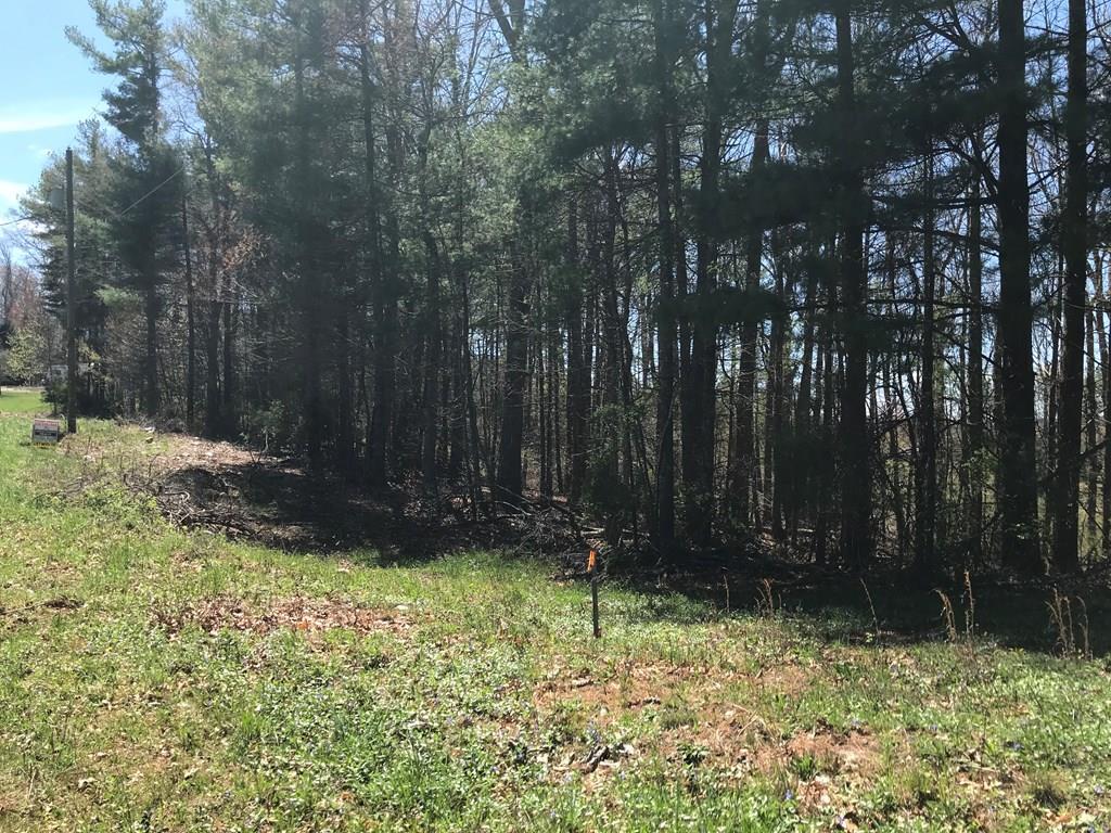 This lot is mostly level/gently rolling. There are nice, tall, straight pines, and oak on this tract that could provide privacy for your dream home, or could be cut and sold for profit. This modern community is conveniently located between Galax and Hillsville, making grocery stores, restaurants, and shopping convenient, while still maintaining the country atmosphere, with a large yard and mature trees. Come have a look, and see this great little community where all of the neighbors get along like family.  The lot is just a skip to the interstate, making commutes to your favorite spots easy to reach. The Blue Ridge Parkway is a 15 Minute drive, and Mt. Airy is a 30 minute drive. Youll love this property, community, and neighbors, all while enjoying the fresh air of mountain life.