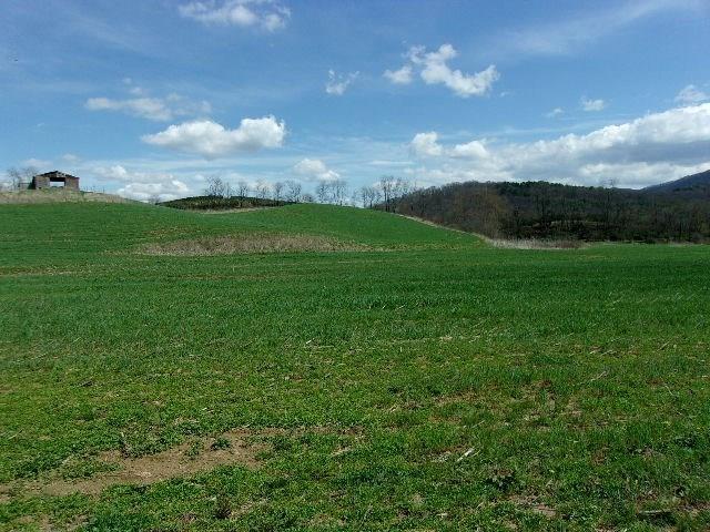 This is a beautiful piece of property located in a very desirable part of the Elk Creek Valley.  95% open. Near level land with a knoll for building.  Excellent meadow for corn or hay. Elk Creek flows through the property. You will own both sides of Elk Creek.  Just a short distance to the National Forest.