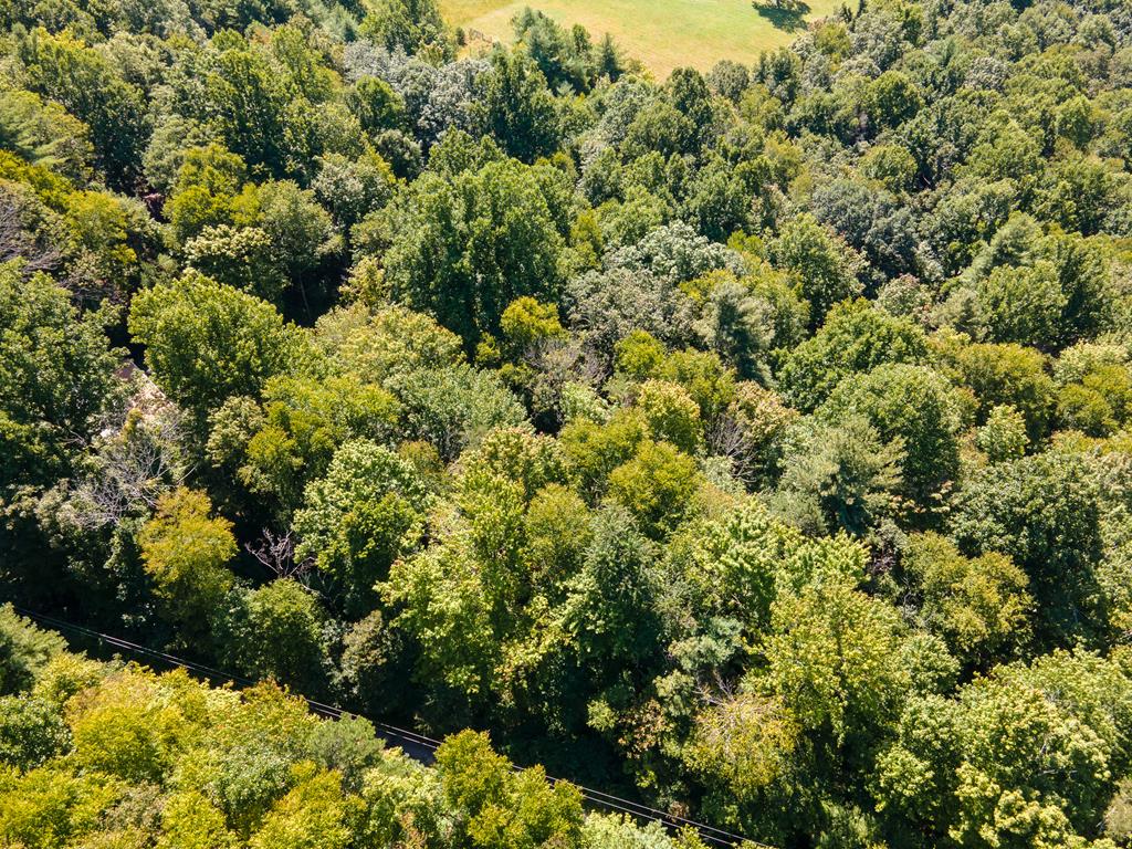 1 acre wooded building lot in the beautiful Slatemont neighborhood. Community water is available. Enjoy privacy with walking trails, convenient to the Blue Ridge Parkway and all that Floyd has to offer. 10 minutes to Mabry Mill and Chateau Morrisette. 35 minutes to Primlandand only 25 minutes to downtown Floyd.