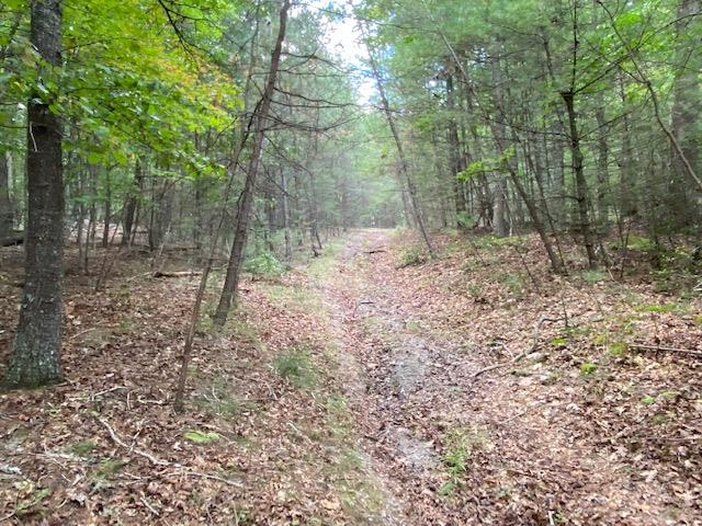 Approximately 50 acres secluded located at the dead end of a road.  Property is wooded with small creek and some trail through it. Call today for more information.