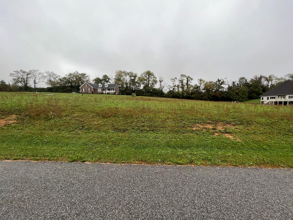 Here is a opportunity at one of the largest lots available in beautiful King Hills Subdivision. Build your dream home on the level .41 acre lot that offers awesome views of the gorgeous Southwest Va mountains. This property over looks the Wytheville Country Club and is convenient to Town shops, Interstates, and shopping. Public water, public sewer, and underground electrical all are available.Come see for yourself this true gem of a property before this one is gone!