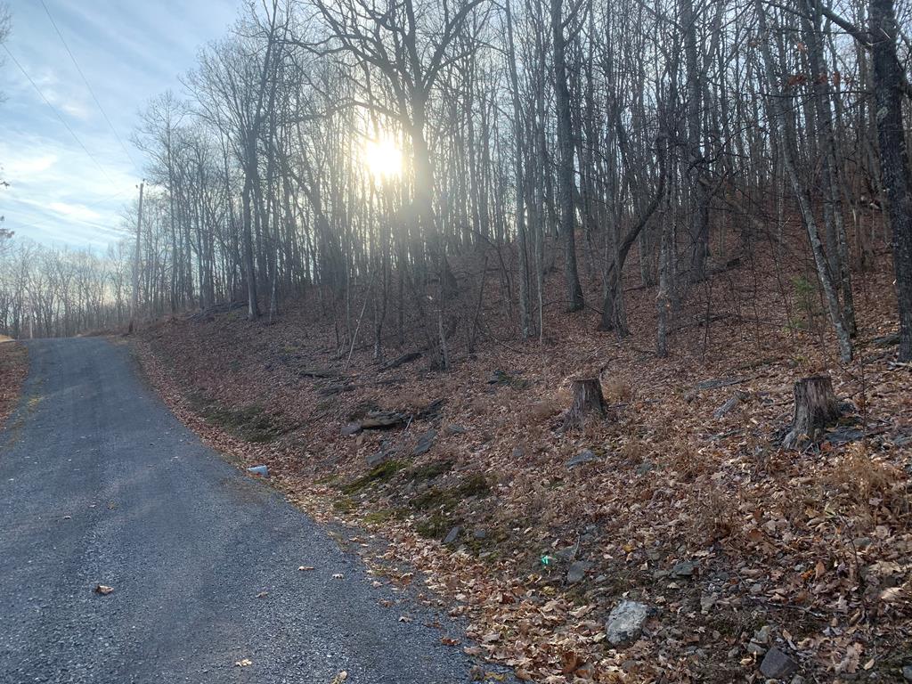 Enjoy the beautiful views, serene sounds, and wildlife. This is a great lot to build your vacation home or permanent home in the mountains of Southwest Virginia, Accessible to Bluefield or Tazewell.