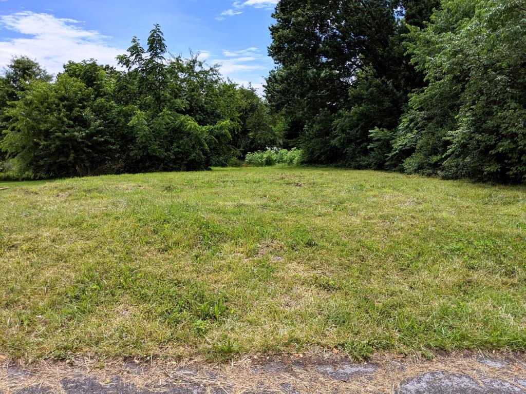 Building lot in Wytheville with public utilities available.  Close to schools and town amenities.