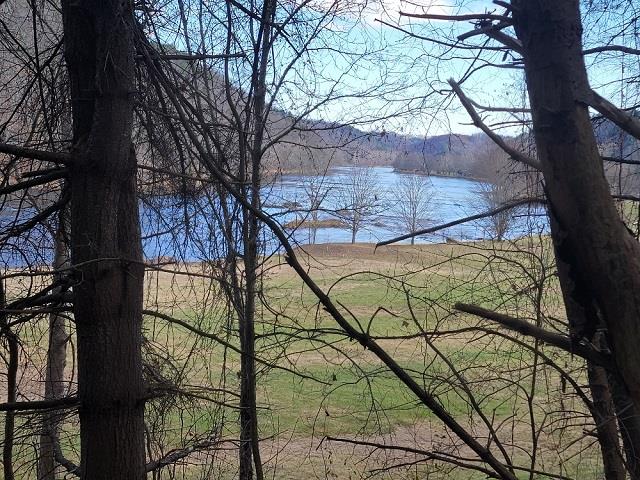 WOW WHAT A VIEW OF THE NEW RIVER! Very seldom does a bulding lot come available like this with million dollar views of the New River and great access just off 58. Great loaction between Independence & Galax and within a short drive to the public boat landing and the New River Trail.  Call Today!