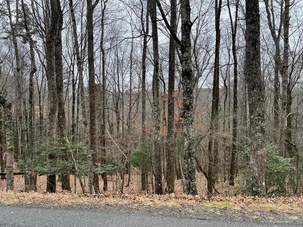 Check out this nice wooded 20-acre parcel in Cana Va.  All wooded with multiple building sites. Build you home away from the road in the woods for privacy. Stream on property. Not much land available like this in Cana Va.