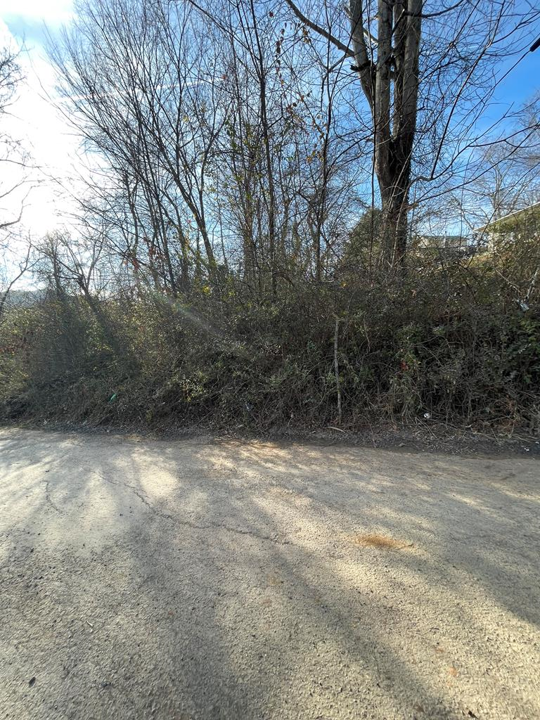 Building lot in Damascus VA! Buyers / Buyers agent to verify all information.