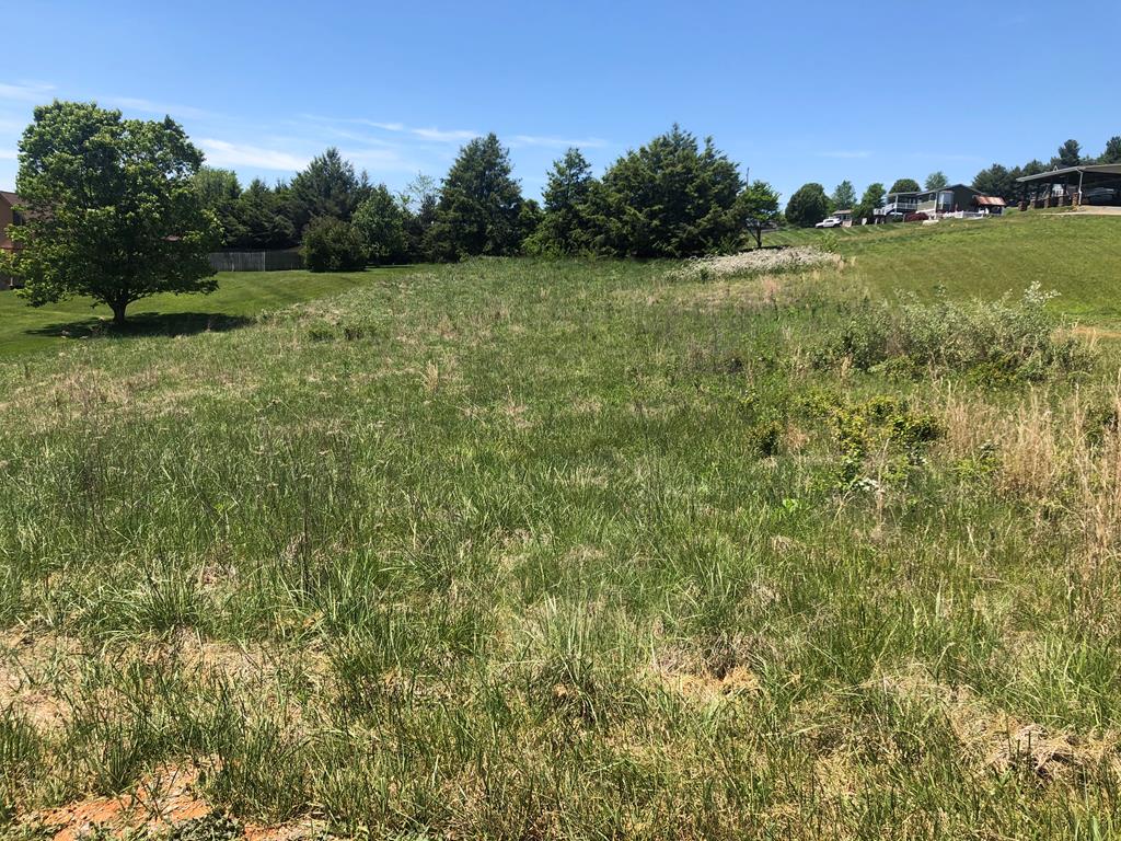 Private lot very close to South Holston lake yet only minutes from downtown Abingdon, the local vineyard, the Virginia Creeper Trail, and much more . This level lot is ready to build on and has beautiful panoramic views of Whitetop mountain and the Holston Mountain range.