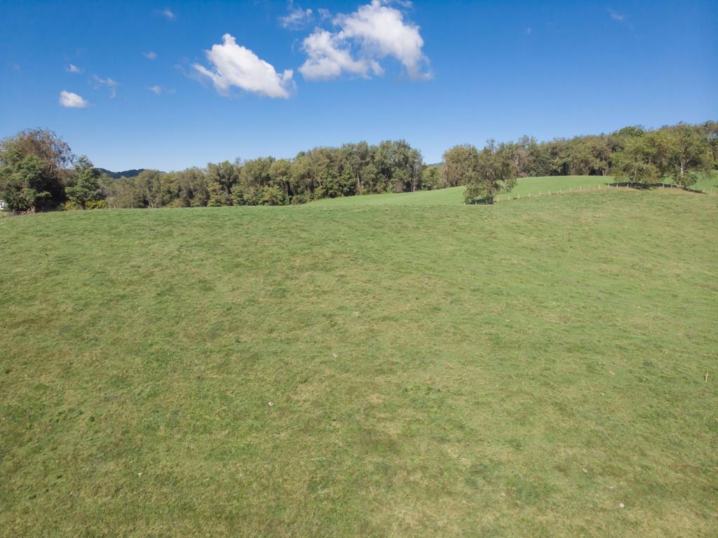 MINI-FARM with 7 ACRES! Great opportunity for those looking to build a home with a mini-farm in place. There's a barn, partial fencing, 2 corn cribs and a separate storage building already on the property. LOCATION is superb - minutes from I-81, Exit 32, yet remote enough that you can get away from the hustle and bustle of life. Property is zoned A-1 per Washington County, VA zoning with multiple uses. See A-1 zoning regulations for specifics. Schedule a private showing to experience the tranquil setting of this gorgeous property with majestic views, rolling hills and pasture land. **ADDITIONAL acreage available for sale adjoining this tract of land.