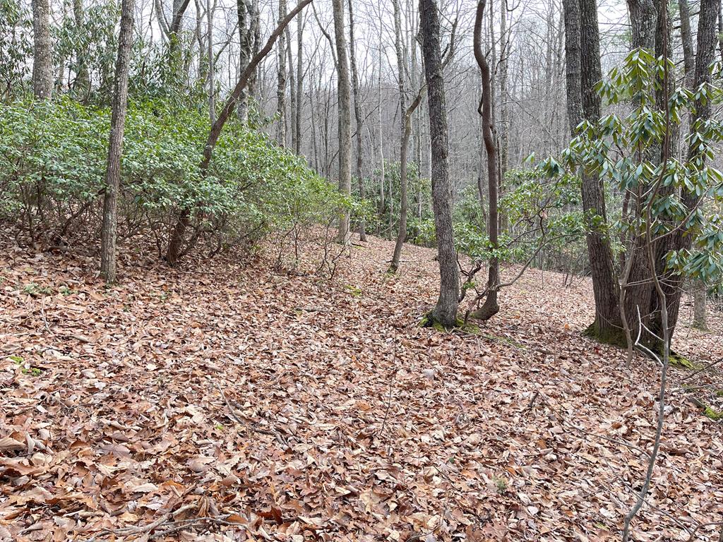 Options galore with this unrestricted 4 acres of land in Washington County VA. Located just 10 minutes from Sportsmans Marina and 12 minutes from Avens Boat Ramp. Build your dream home or could be a great place for a doublewide or mobile home. If you're a hunter there are plenty of options for a tree stand and if you're thinking commercially rental cabins.