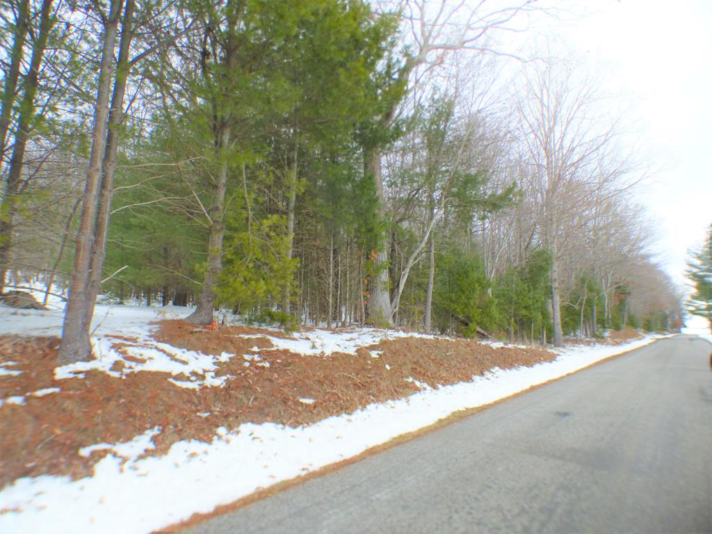 14+ wooded acres in one of the counties most desirable location, Crocketts Cove.  This property has several house sites, long range views, land lays well, great recreation property.   Acreage is approximate, new survey to be done upon ratified contract.